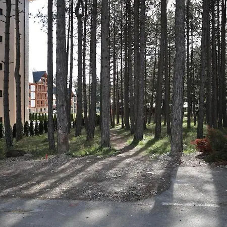 Apartment Ivanovic *